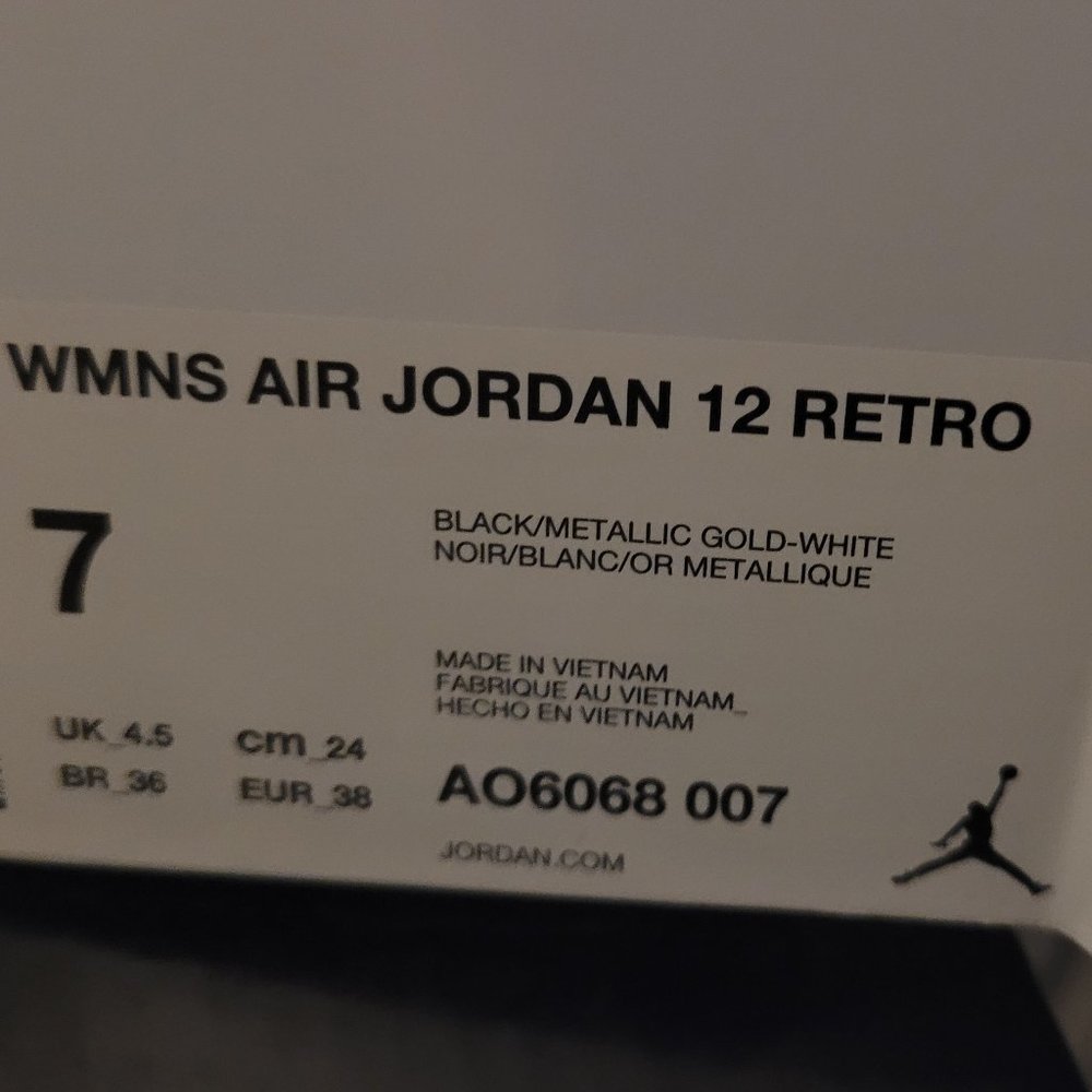 Air Jordan 12 Retro